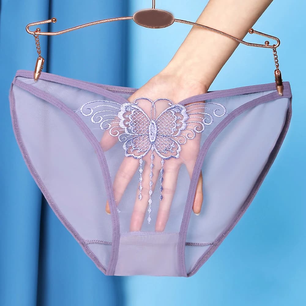 Sous-vêtements en dentelle brodée de papillons pour femmes, slip Transparent en maille transparente,