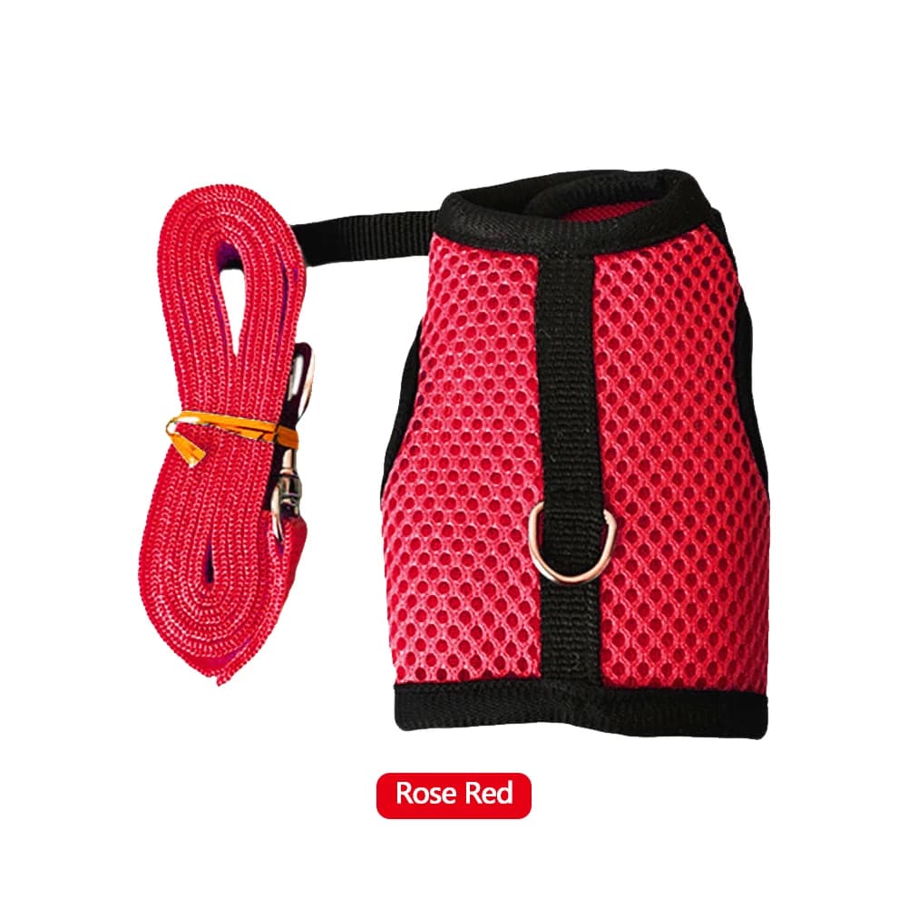 Accessoires portables pour petits animaux de compagnie, harnais pour lapin, ensemble de laisses pour