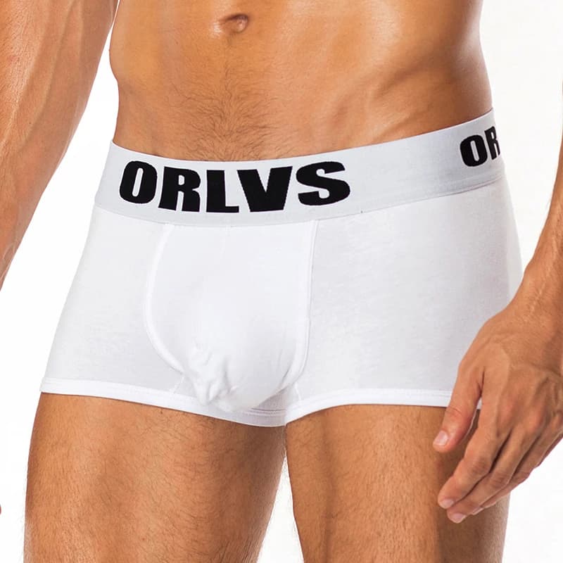 ORLVS marque hommes sous-vêtements Boxershort Sexy court coton Cuecas boxeurs hommes Boxer respirant