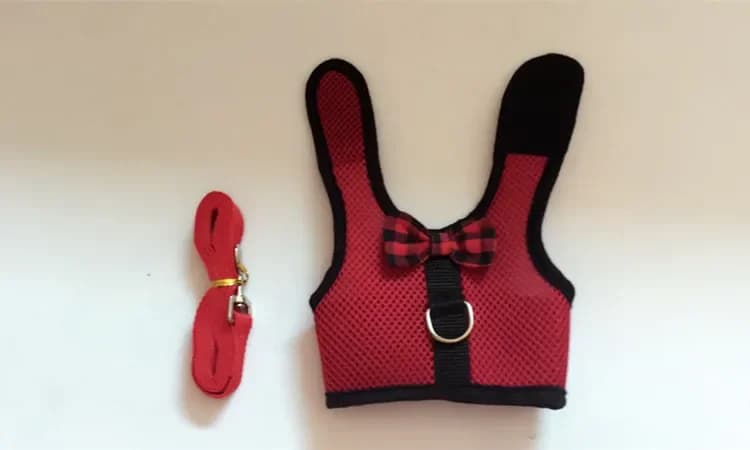 Ensemble harnais et laisse de marche en plein air pour petits animaux, vêtements mignons pour chiot,
