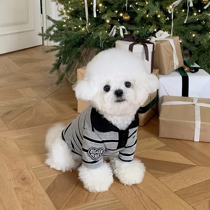 Chemise polo pour chien, chemise à col rayée tendance pour l'été, t-shirt pour chien et chat, gilet