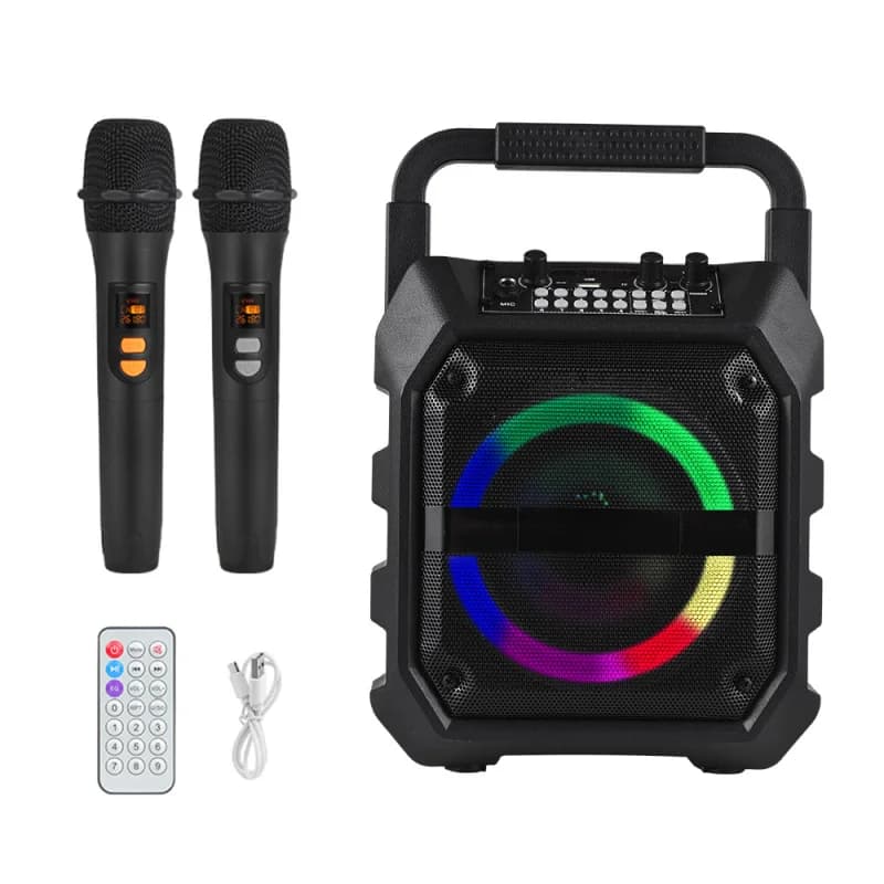 Ensemble de haut-parleurs de musique sans fil, accessoires de musique électroniques, 2 microphones, 