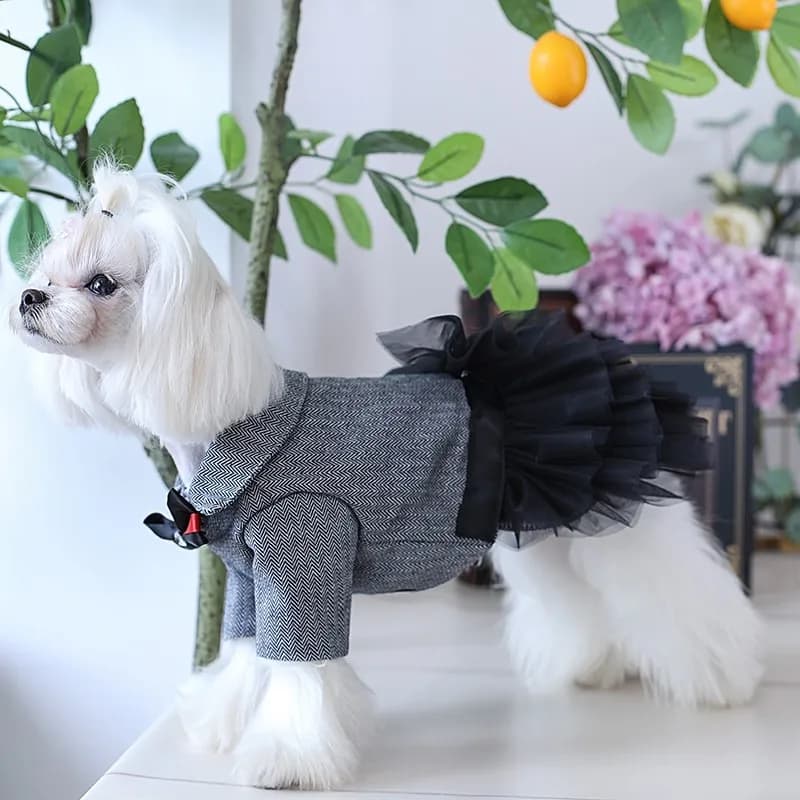Vêtements pour chiens faits à la main, fournitures pour animaux de compagnie, belle veste cool imbib