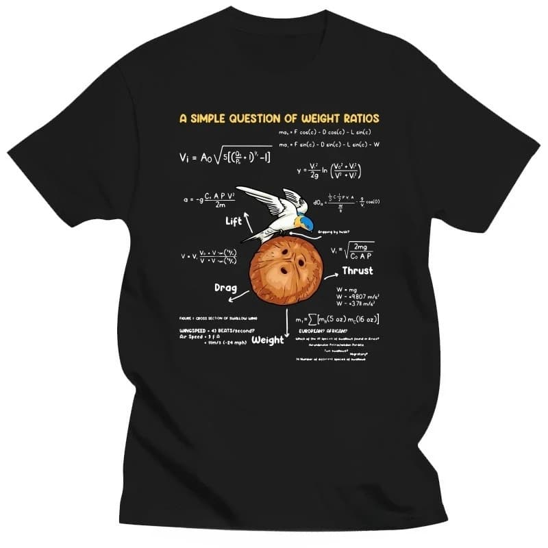 T-shirts pour hommes une question Simple professeur de mathématiques créatif Monty Python coton t-sh