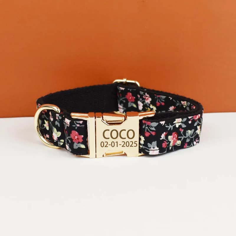 Colliers tactiques de luxe personnalisés pour chiens, accessoires pour animaux de compagnie, produit