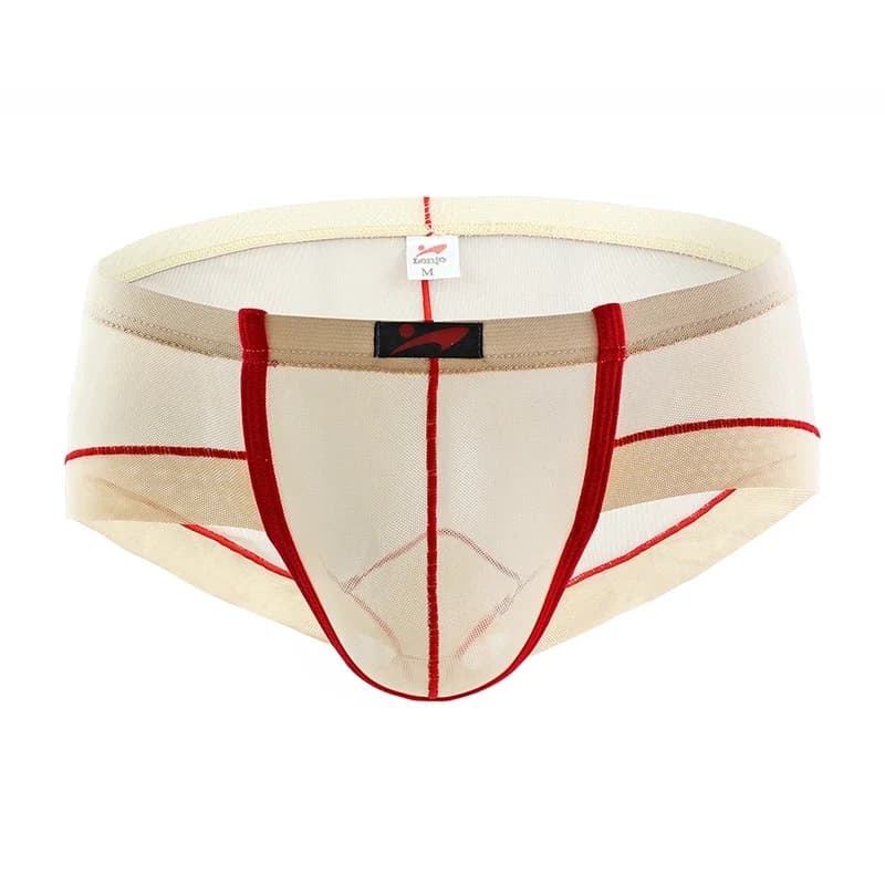Slips pour hommes, sous-vêtements Ultra-fins respirants, culottes transparentes, taille basse, Slip