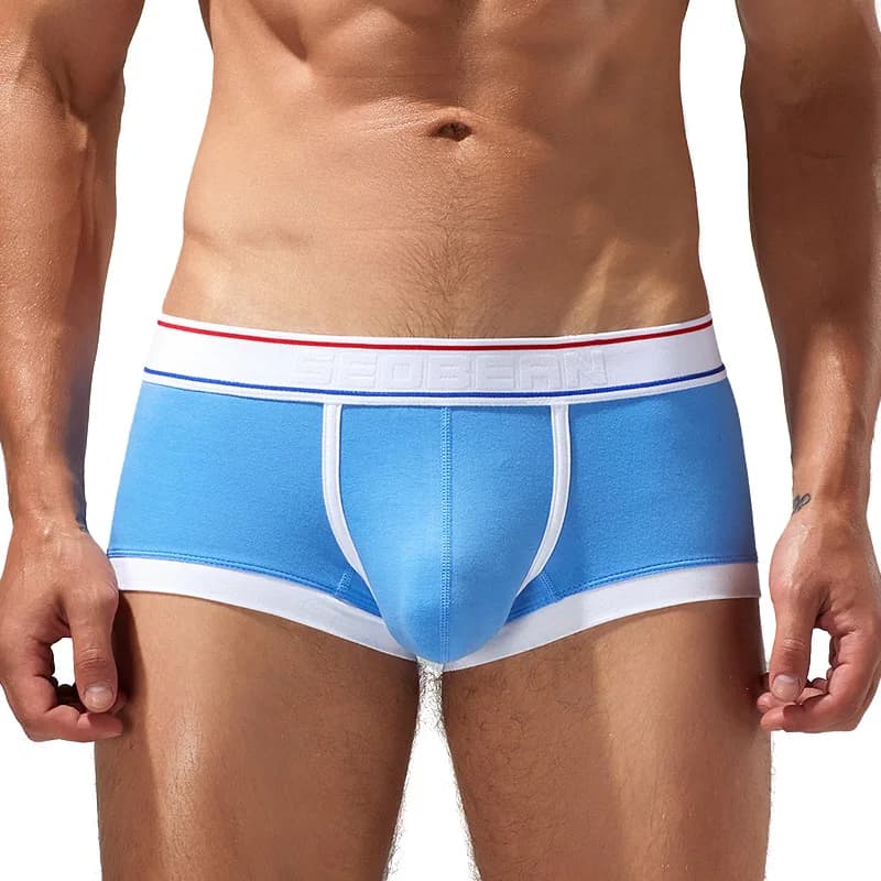 Boxer en coton respirant pour hommes, sous-vêtements masculins, caleçons convexes en U, caleçons sex