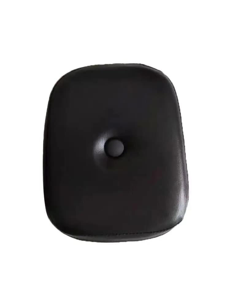 Dossier de passager arrière pour MP S Regal Raptor, accessoires de moto, nouveau, 125, 125