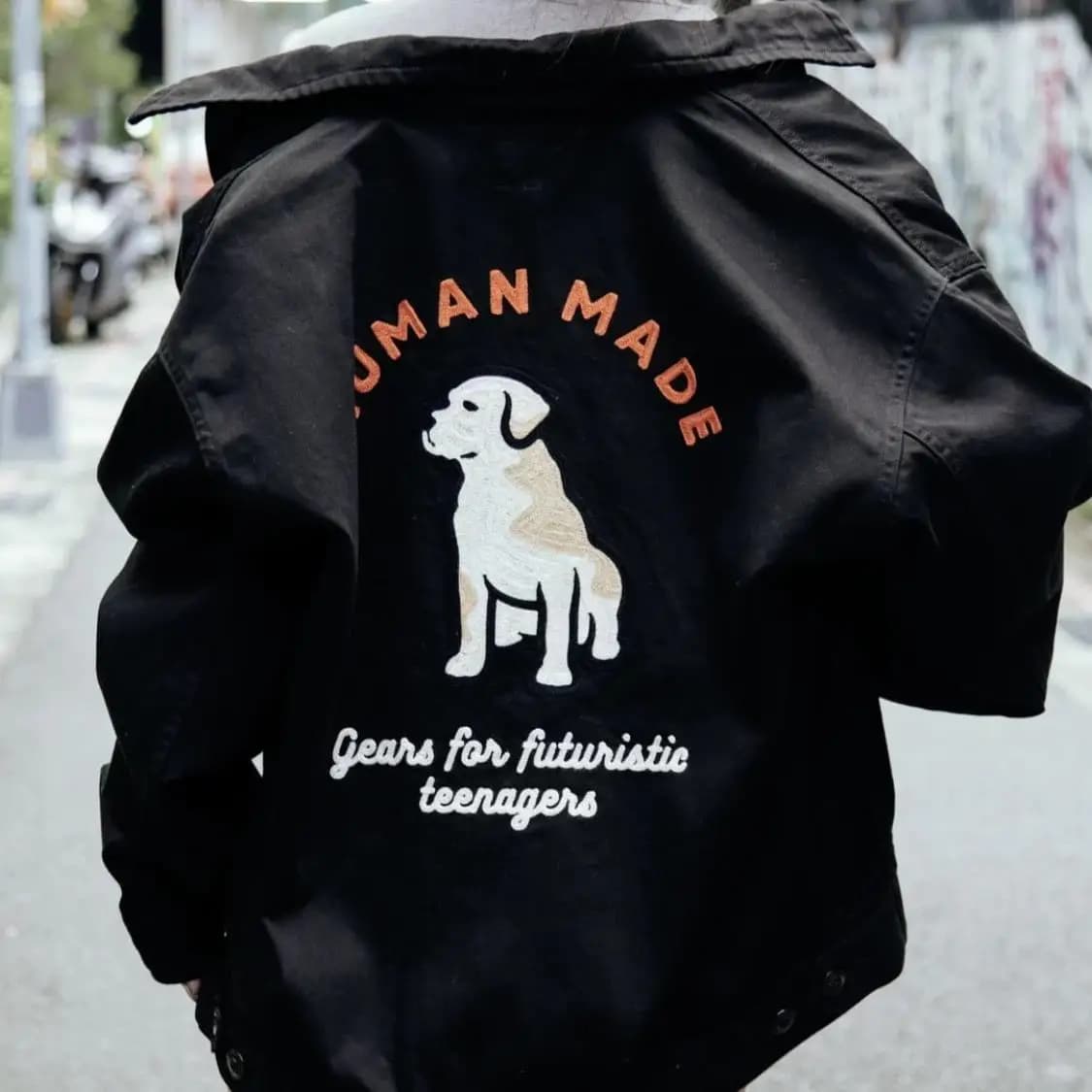 Haut à fermeture éclair avec lettres brodées de chien unisexe, veste fine rétro pour les activités q
