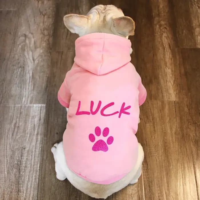 Vêtements personnalisés pour chiens de compagnie, sweats à capuche pour chiots, manteau chaud pour grands chiens, veste, pull, vêtements bouledogue français, automne, hiver