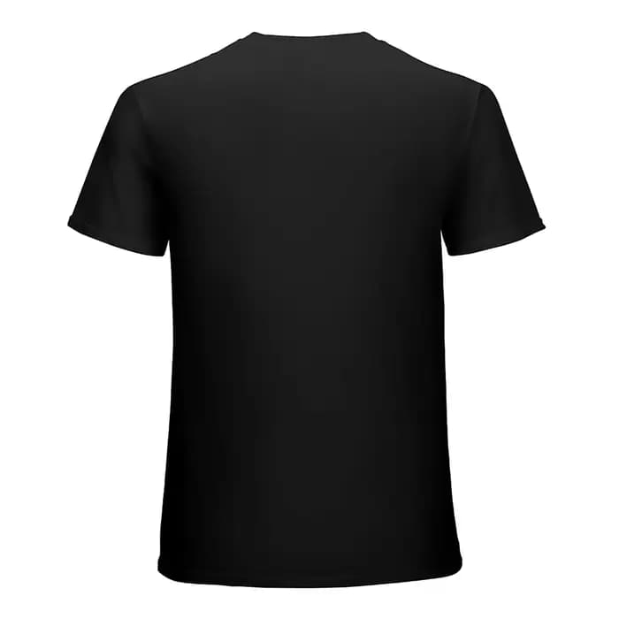 T-shirt hollis graphique pour hommes