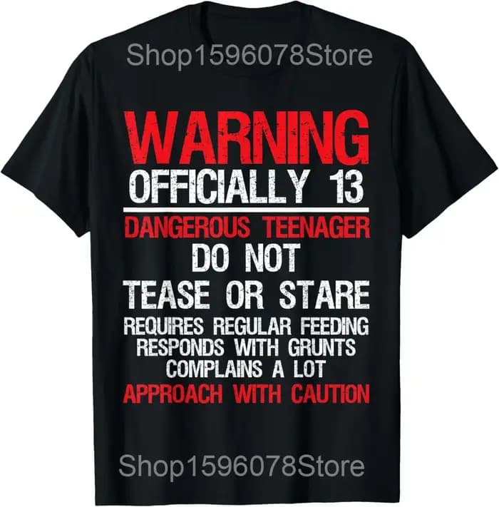 Officiel adolescent 13th anniversaire cadeau Vintage rétro t-shirts hommes Streetwear t-shirt à manc