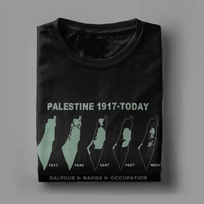 Palestine carte 100 coton T-Shirt pour hommes été palestinien Y2K basique t-shirts col rond Hippie
