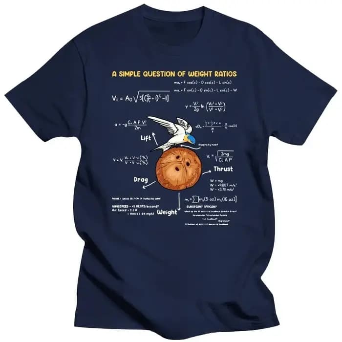 T-shirts pour hommes une question Simple professeur de mathématiques créatif Monty Python coton t-shirt unisexe
