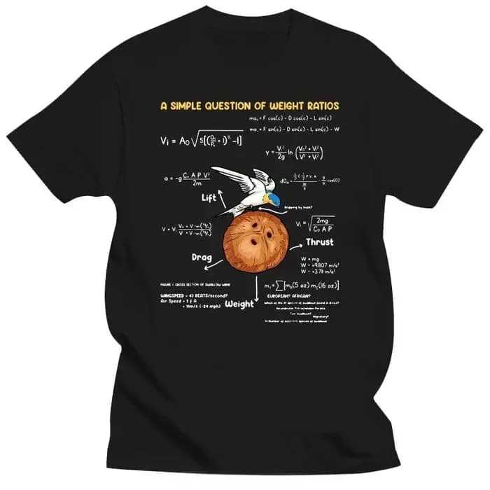T-shirts pour hommes une question Simple professeur de mathématiques créatif Monty Python coton t-sh