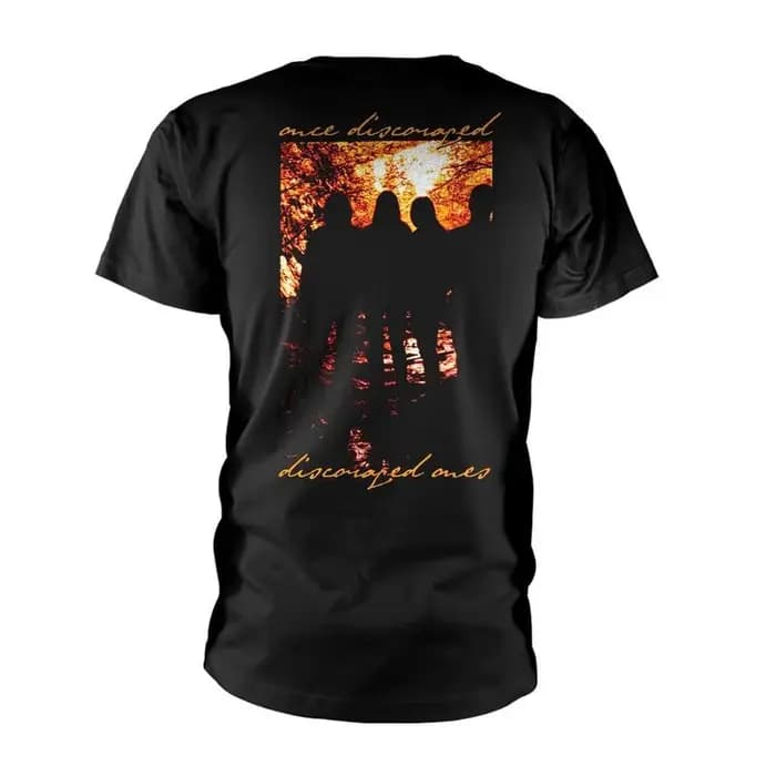 T-shirt Alice in Chains Dirt Album