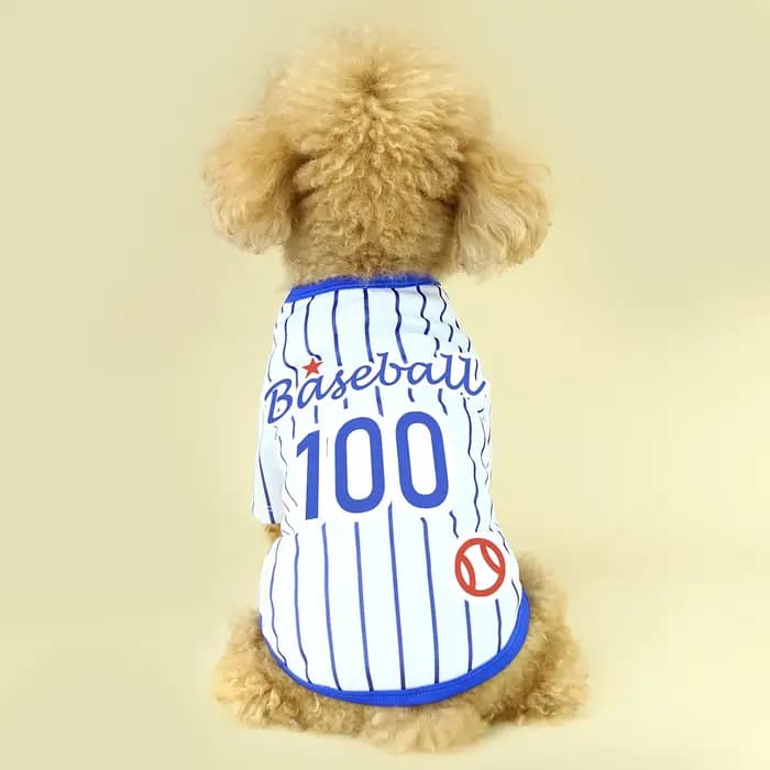 Présentation de notre T-shirt athlétique pour chien rayé