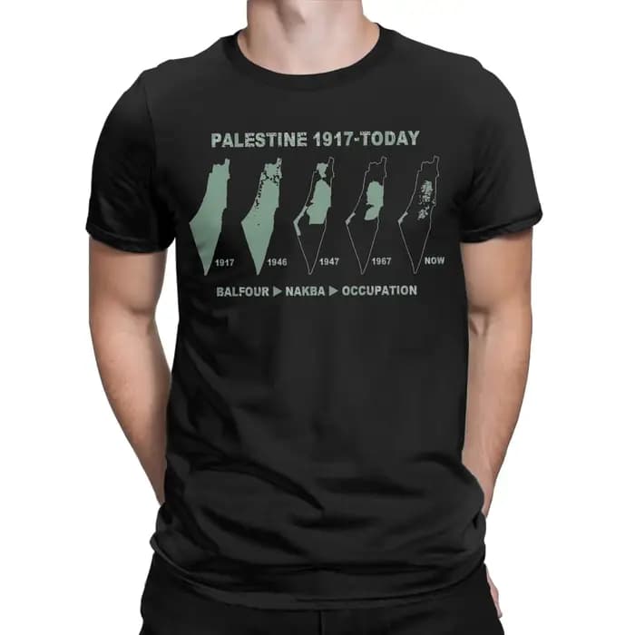 Palestine carte 100 coton T-Shirt pour hommes été palestinien Y2K basique t-shirts col rond Hippie t