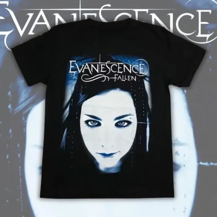 Vintage groupe de Rock Style métal lourd Evanescence graphique t-shirts femme homme haute qualité co