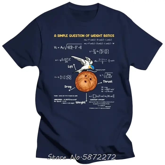 T-shirts pour hommes une question Simple professeur de mathématiques créatif Monty Python coton t-shirt unisexe