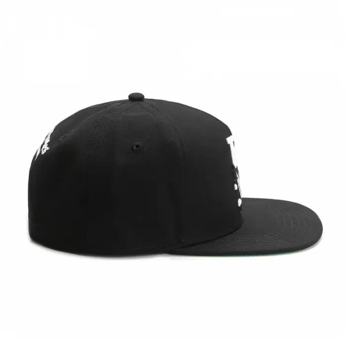 Gangsters Style LA casquette chapeau nouveau Los Angeles camionneur hommes Bill Hip Hop Baseball basket-ball Snapback Air Brim Era