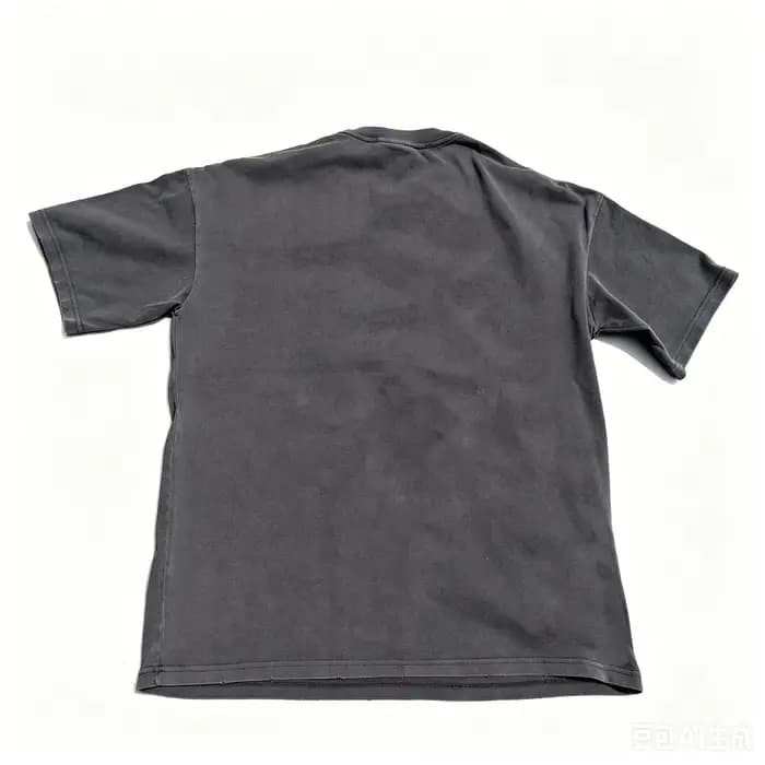 Silver Chariot t-shirt sweat Anime lavé noir t-shirt Street Wear Cool Halloween Costume