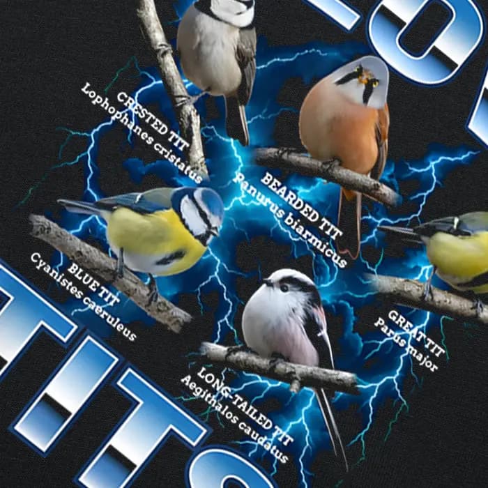 Drôle oiseau Meme j'aime les seins observation des oiseaux rétro T-shirts hommes imprimer t-shirt ample surdimensionné