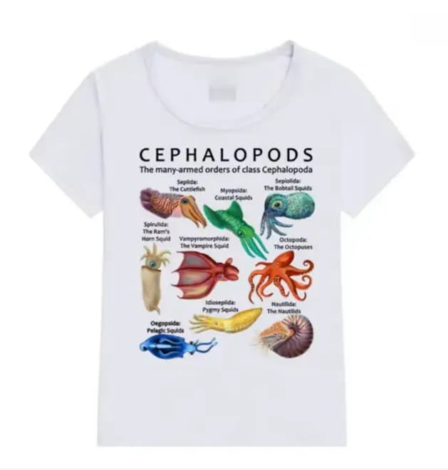 Visages de requin de toutes sortes T-shirt le céphalopode poulpe calmar