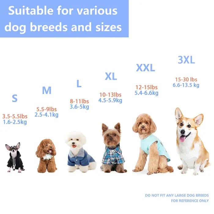 Présentation de notre T-shirt athlétique pour chien rayé