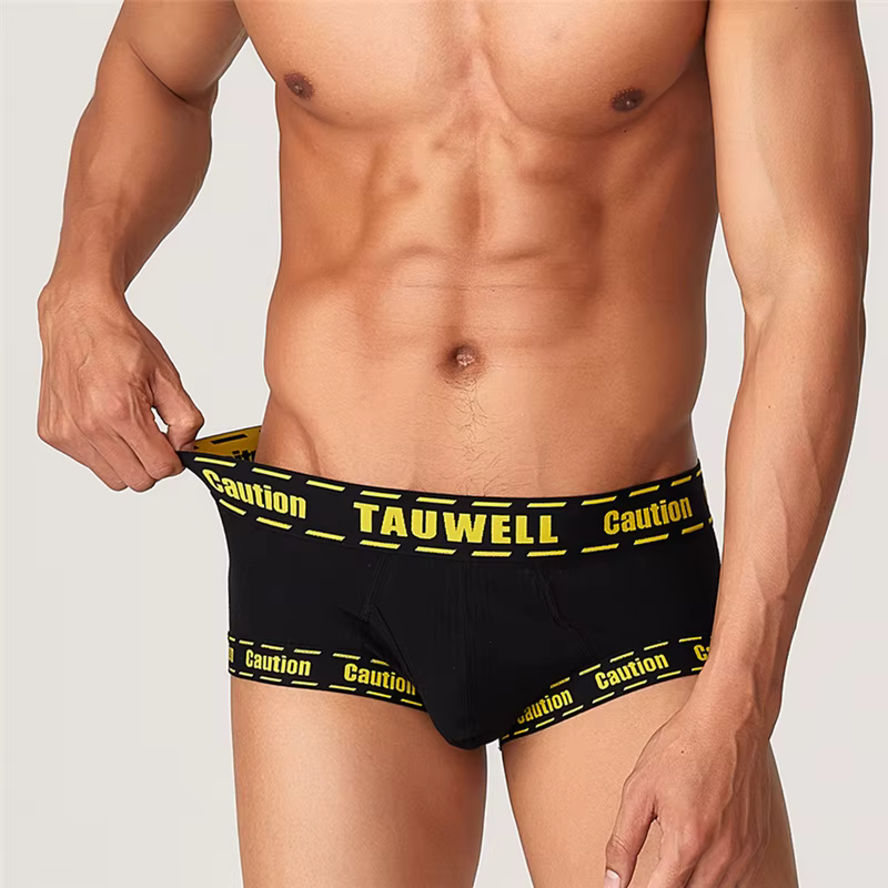 Boxers pour hommes, sous-vêtements pour hommes, slips, culottes anime