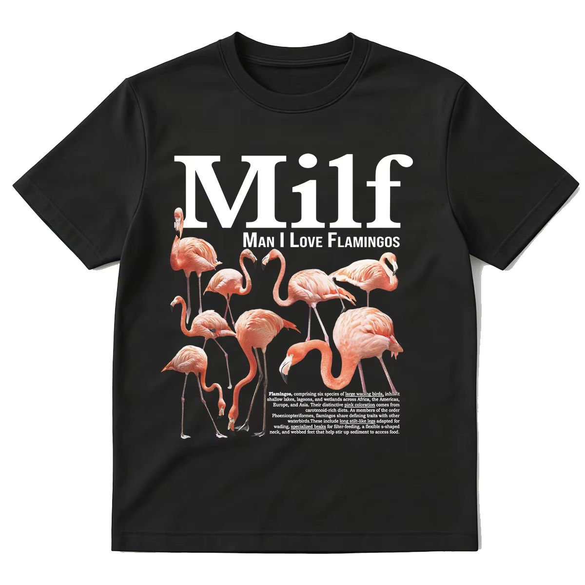 T-shirt humoristique avec motif de flamants roses pour hommes et femmes, T-shirt à manches courtes e