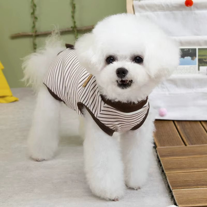Bandes vêtements pour chiens robe chirurgicale pyjama costume enveloppé ventre salopette pyjamas pou