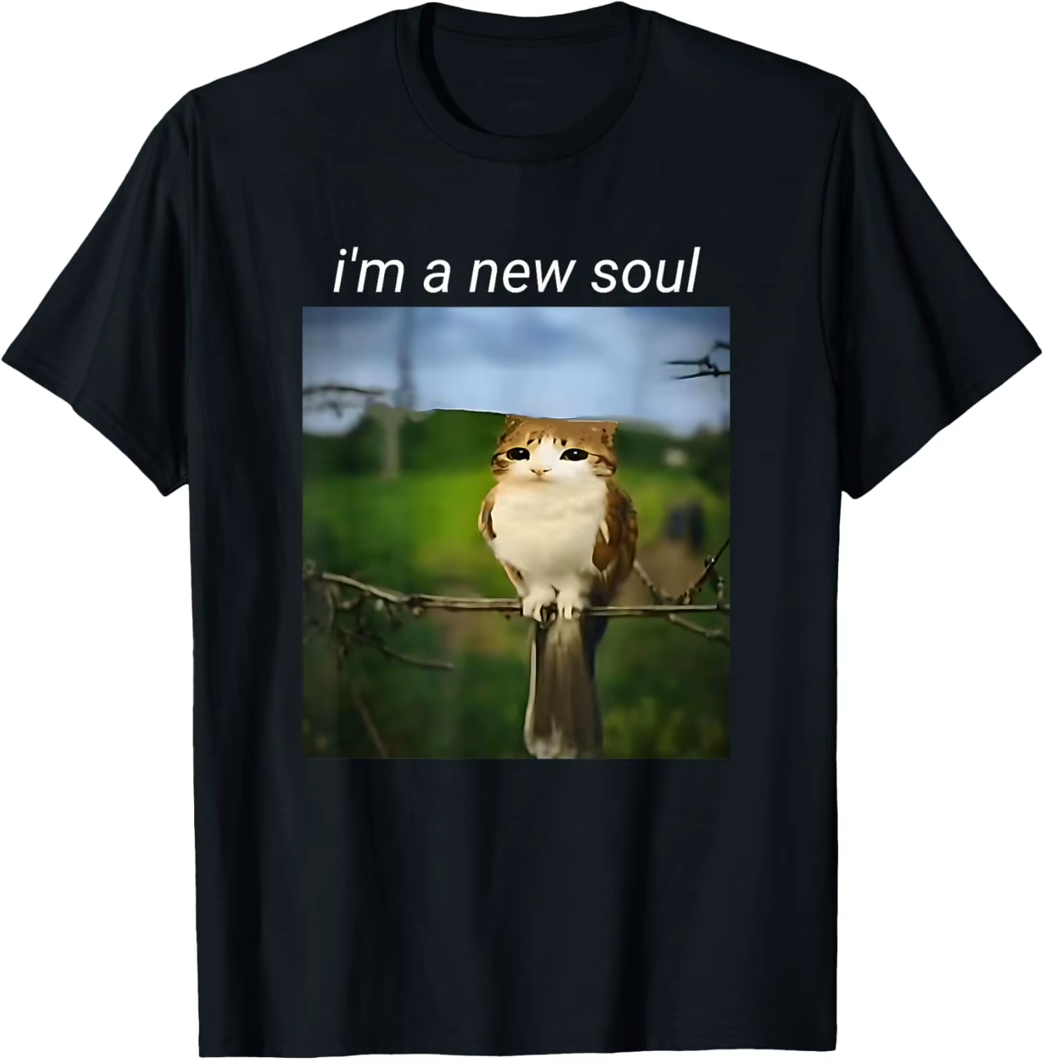 T-shirt imprimé pour femme Funny Meowl Meme Cat Owl Brainrot Gen Alpha, confortable, doux, respirant