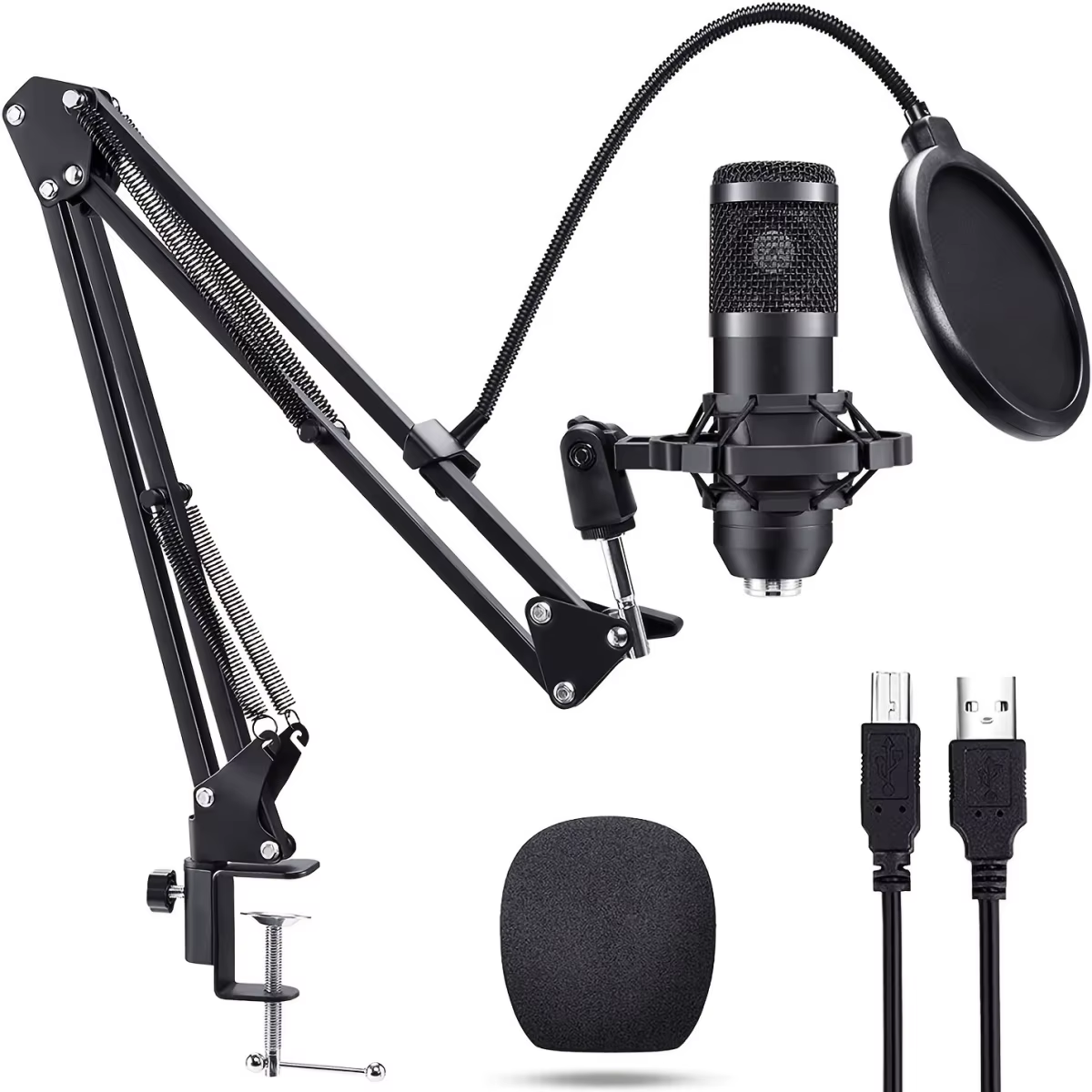 Microphone Studio professionnel diffusion en direct chant enregistrement Kits de Microphone avec bra