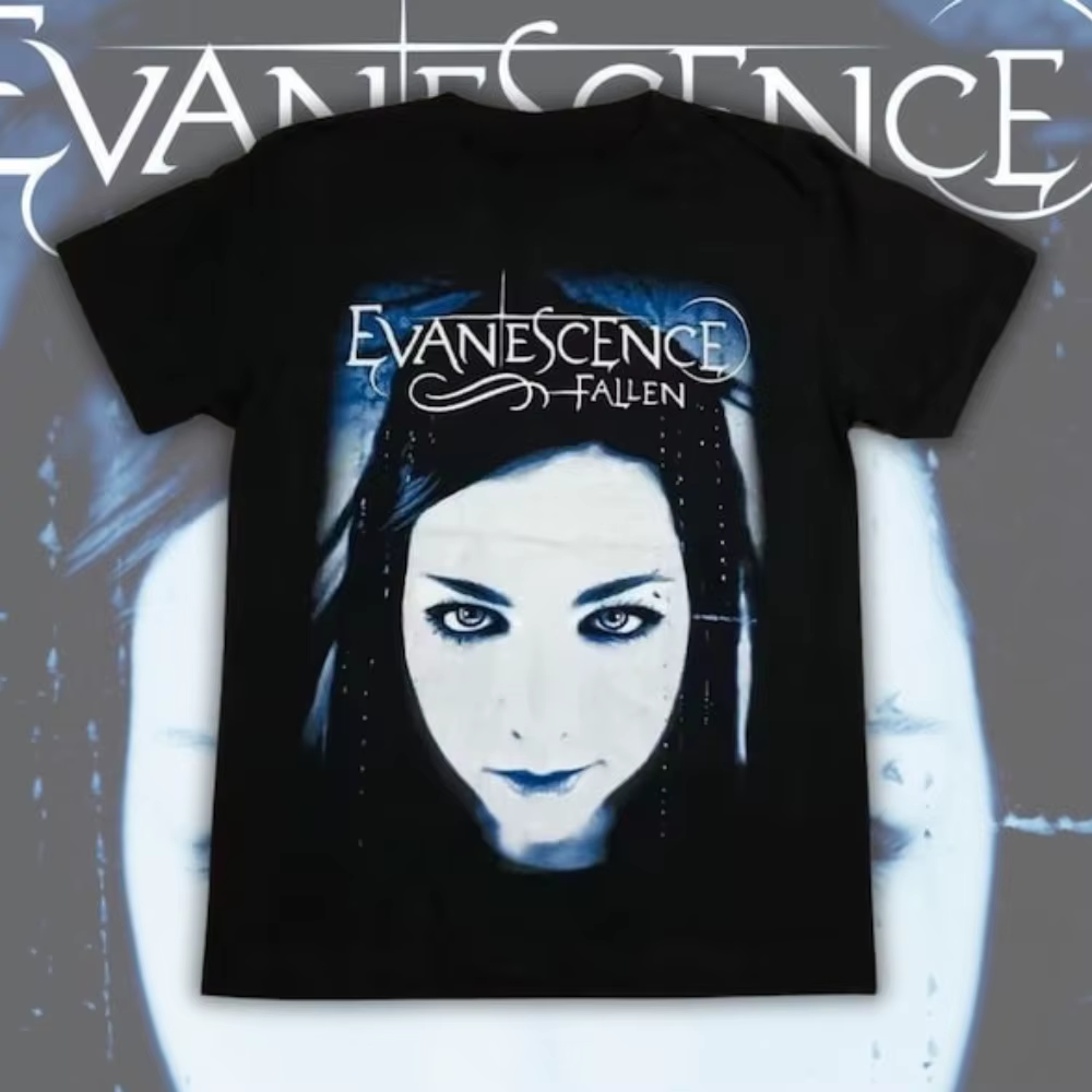 Vintage groupe de Rock Style métal lourd Evanescence graphique t-shirts femme homme haute qualité co