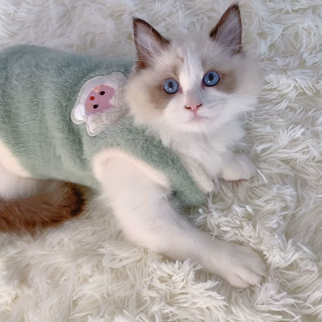 Accessoires pour chats, vêtements chauds pour chatons d'hiver, vêtements pour petits chats, vêtement