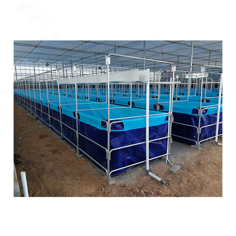 Bassin à poissons pliable en bâche PVC, équipement d'élevage de poissons Biofloc, étang à poissons p
