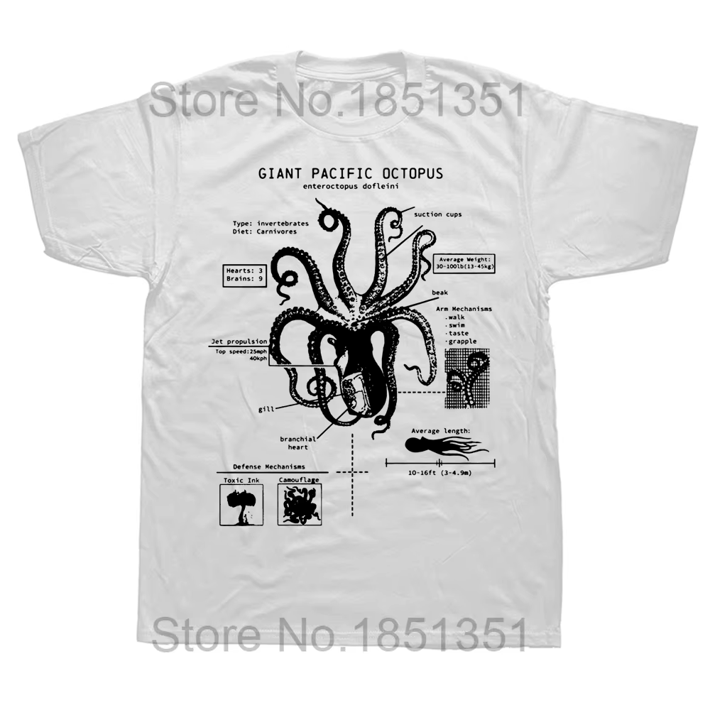 T-shirt de brevet d'anatomie de pieuvre, tee-shirt de plage, science, art de pieuvre, biologie marin
